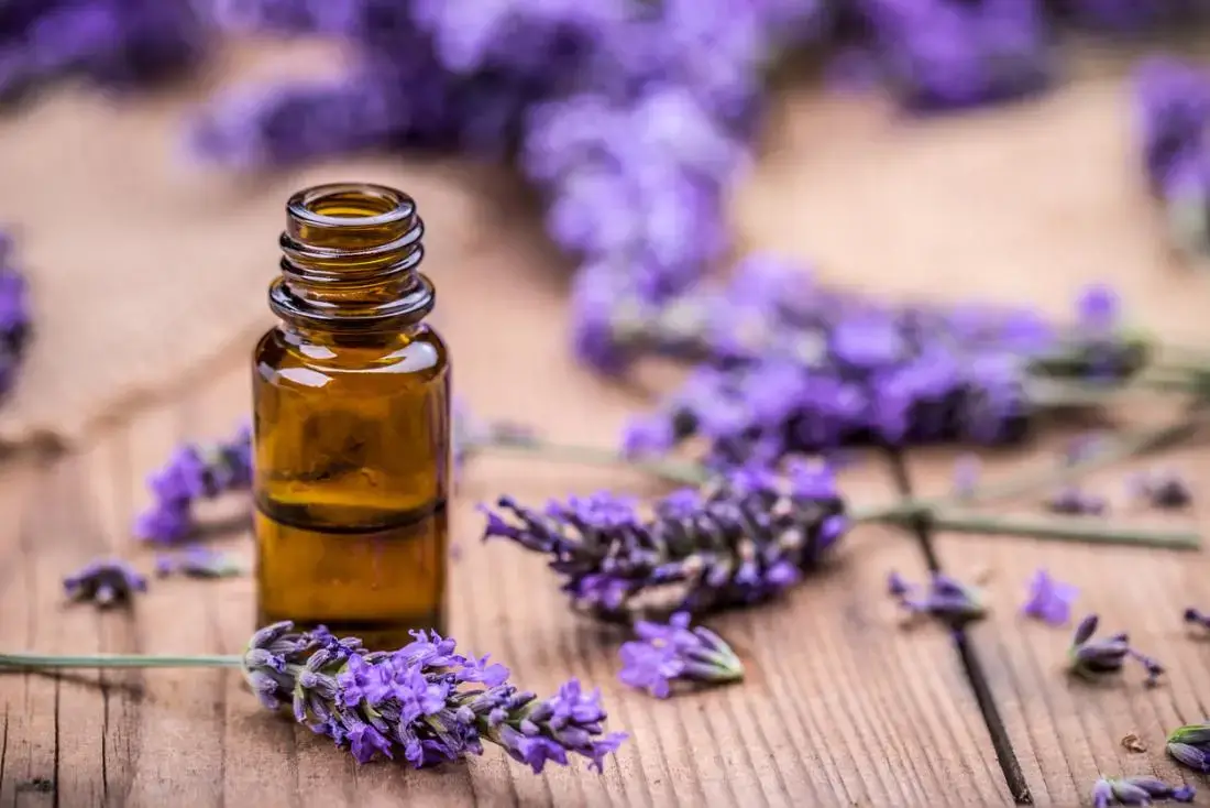 lavender natural remedy