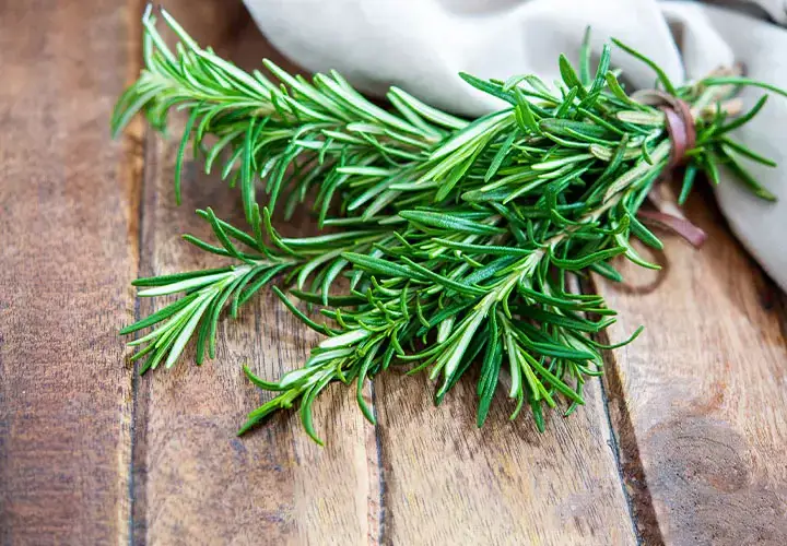 rosemary natural remedy